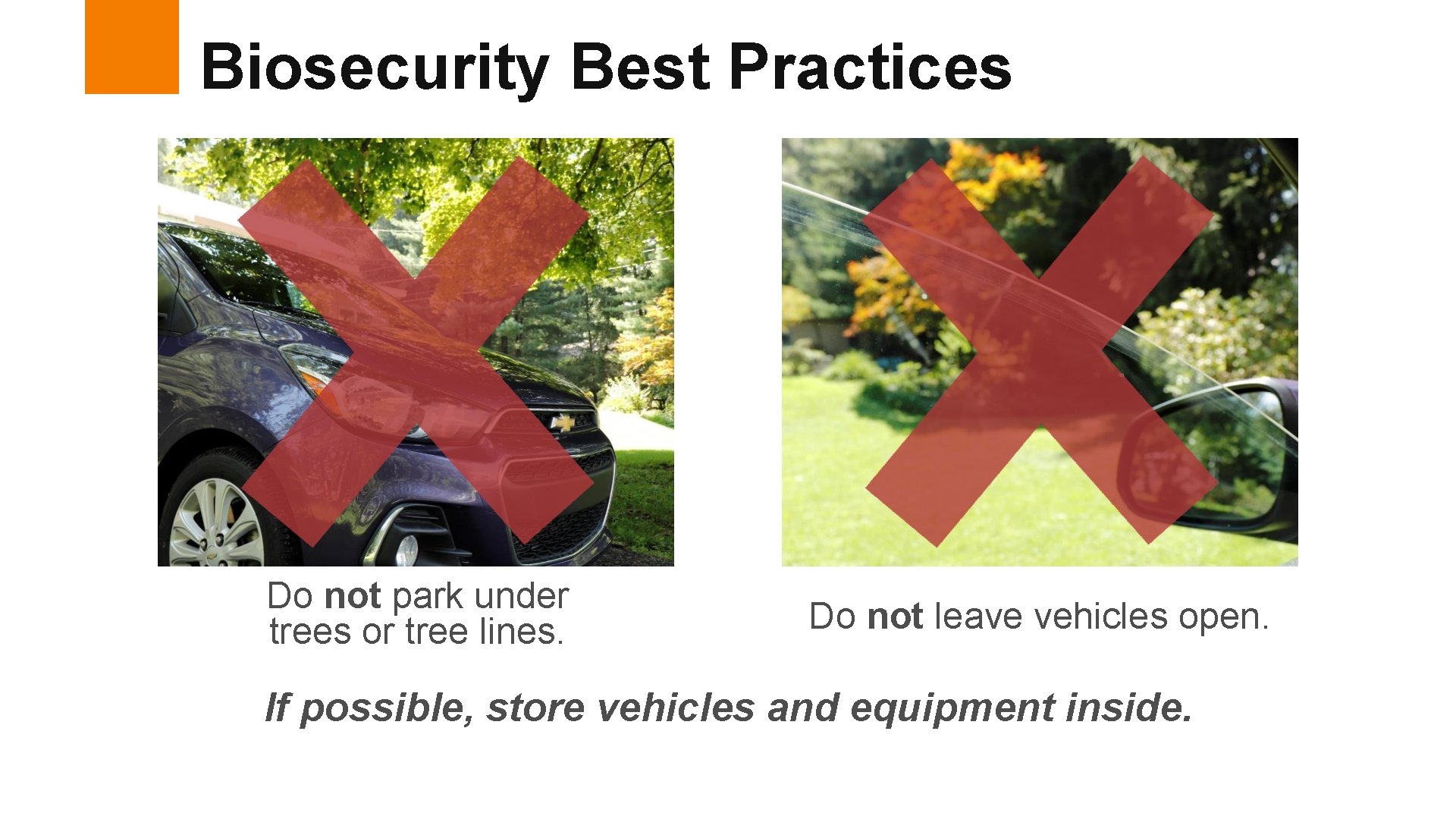 Biosecurity Best Practices Do not park under trees or tree lines. Do not leave