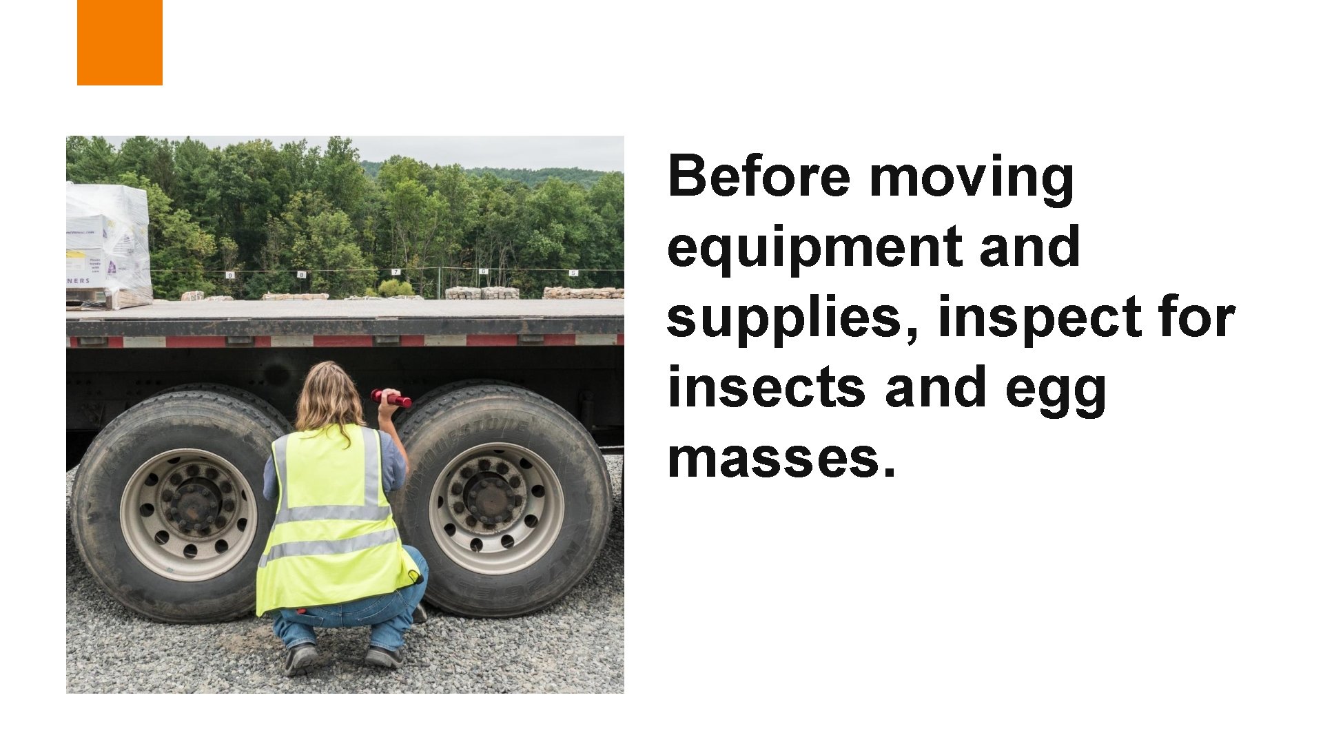Before moving equipment and supplies, inspect for insects and egg masses. 