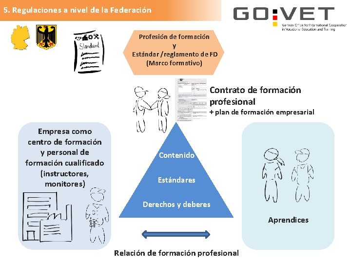 5. Regulaciones a nivel de la Federación Profesión de formación y Estándar /reglamento de