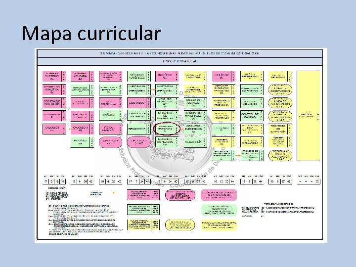 Mapa curricular 