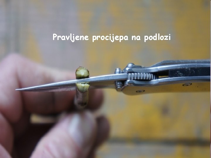 Pravljene procijepa na podlozi 