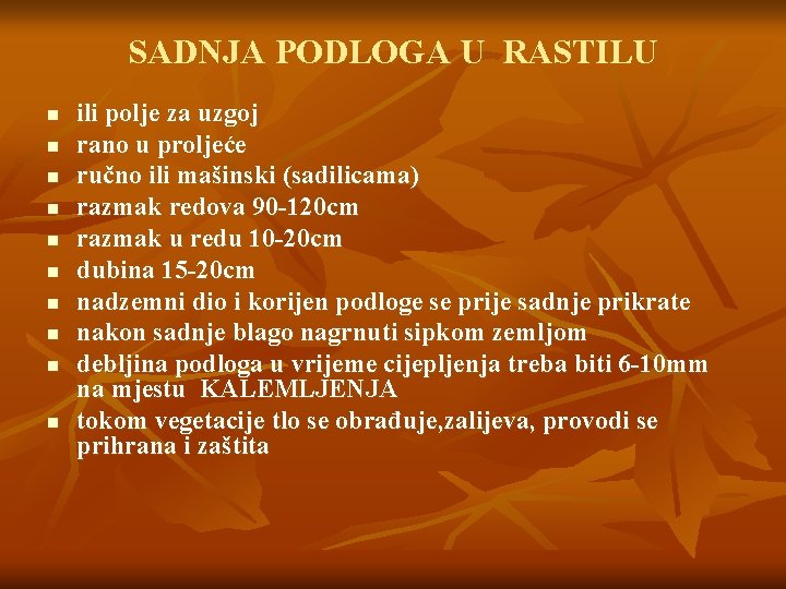 SADNJA PODLOGA U RASTILU n n n n n ili polje za uzgoj rano