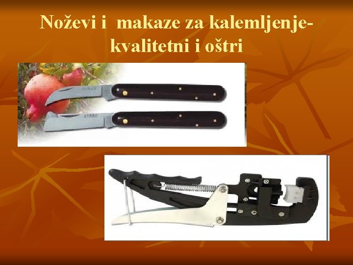 Noževi i makaze za kalemljenjekvalitetni i oštri 