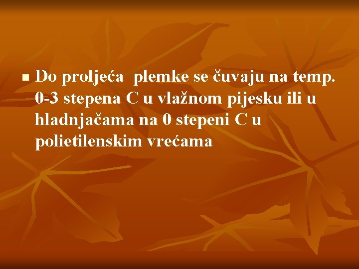 n Do proljeća plemke se čuvaju na temp. 0 -3 stepena C u vlažnom