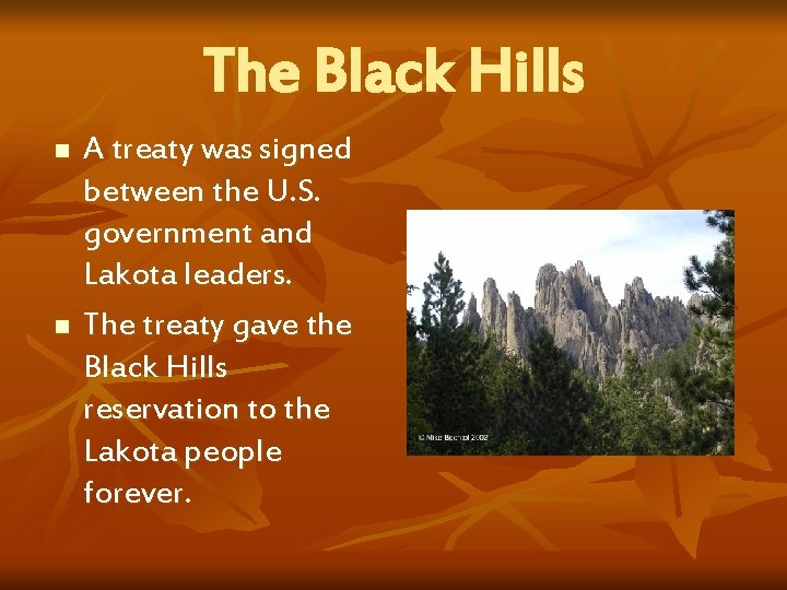 The Black Hills n n A treaty was signed between the U. S. government