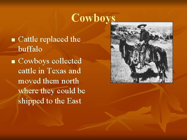 Cowboys n n Cattle replaced the buffalo Cowboys collected cattle in Texas and moved