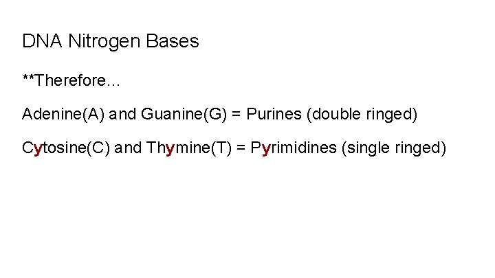 DNA Nitrogen Bases **Therefore… Adenine(A) and Guanine(G) = Purines (double ringed) Cytosine(C) and Thymine(T)