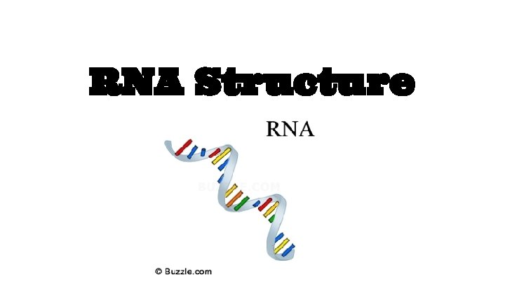 RNA Structure 