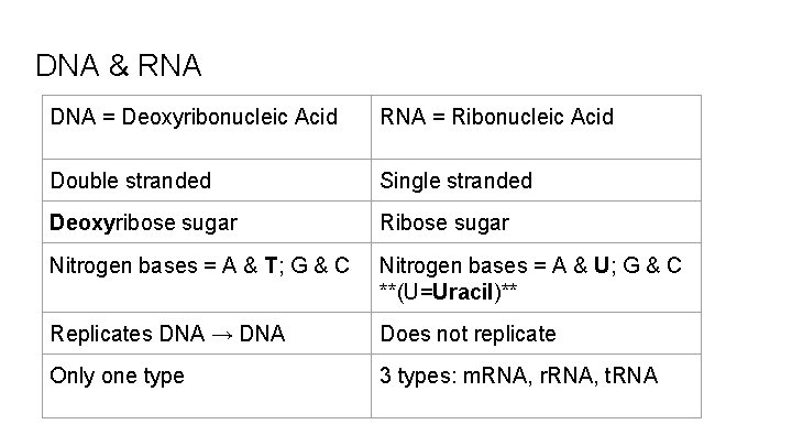 DNA & RNA DNA = Deoxyribonucleic Acid RNA = Ribonucleic Acid Double stranded Single