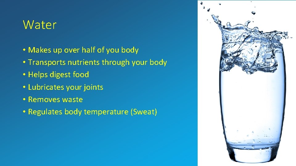 Water • Makes up over half of you body • Transports nutrients through your