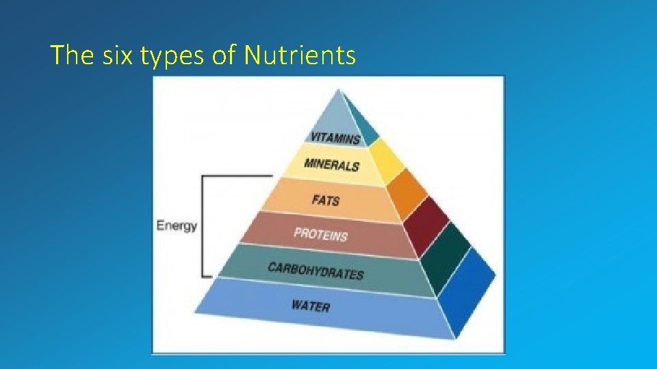 The six types of Nutrients 