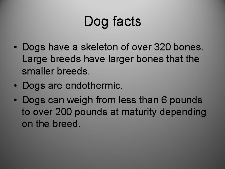 Dog facts • Dogs have a skeleton of over 320 bones. Large breeds have