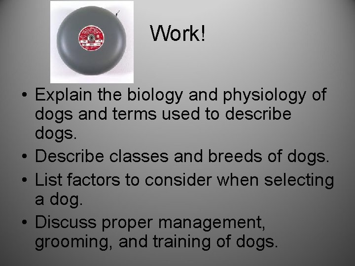 Work! • Explain the biology and physiology of dogs and terms used to describe