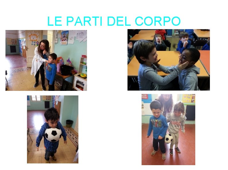 LE PARTI DEL CORPO LE PARTI DEL CORPO