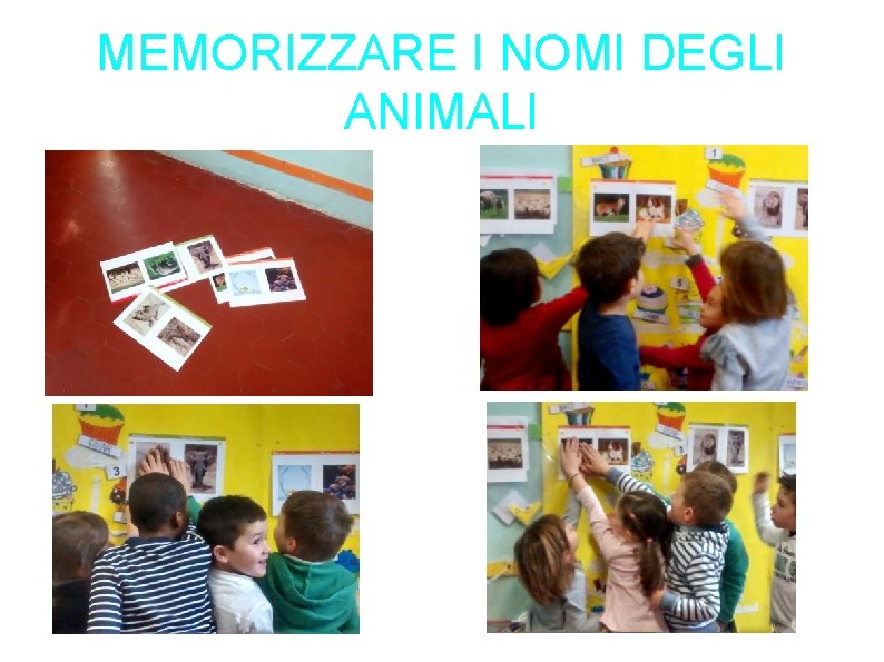 MEMORIZZARE I NOMI DEGLI ANIMALI MEMORIZZARE I NOMI DEGLI ANIMALI