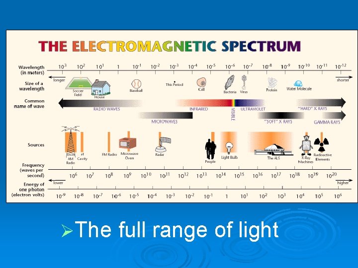 ØThe full range of light 