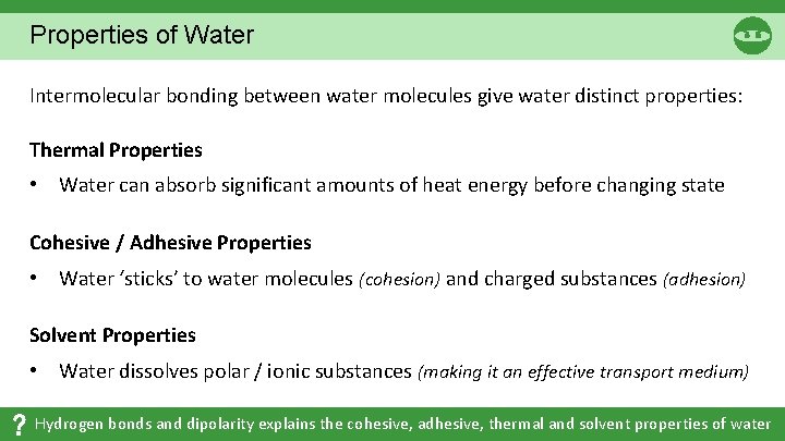 Properties of Water Intermolecular bonding between water molecules give water distinct properties: Thermal Properties Properties of Water Intermolecular bonding between water molecules give water distinct properties: Thermal Properties