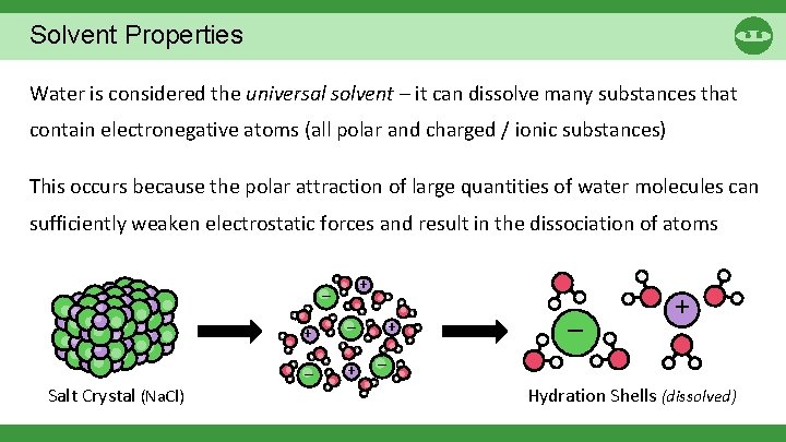 Solvent Properties Water is considered the universal solvent – it can dissolve many substances Solvent Properties Water is considered the universal solvent – it can dissolve many substances