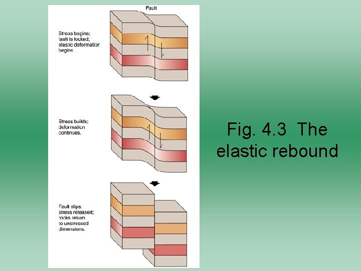Fig. 4. 3 The elastic rebound 