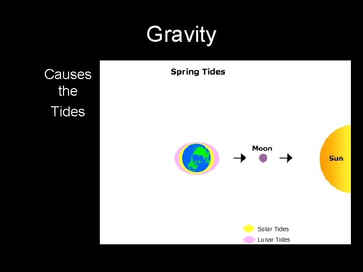 Gravity Causes the Tides 