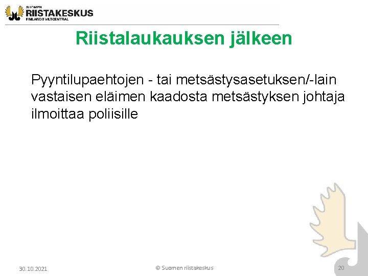 Riistalaukauksen jälkeen Pyyntilupaehtojen - tai metsästysasetuksen/-lain vastaisen eläimen kaadosta metsästyksen johtaja ilmoittaa poliisille 30. Riistalaukauksen jälkeen Pyyntilupaehtojen - tai metsästysasetuksen/-lain vastaisen eläimen kaadosta metsästyksen johtaja ilmoittaa poliisille 30.