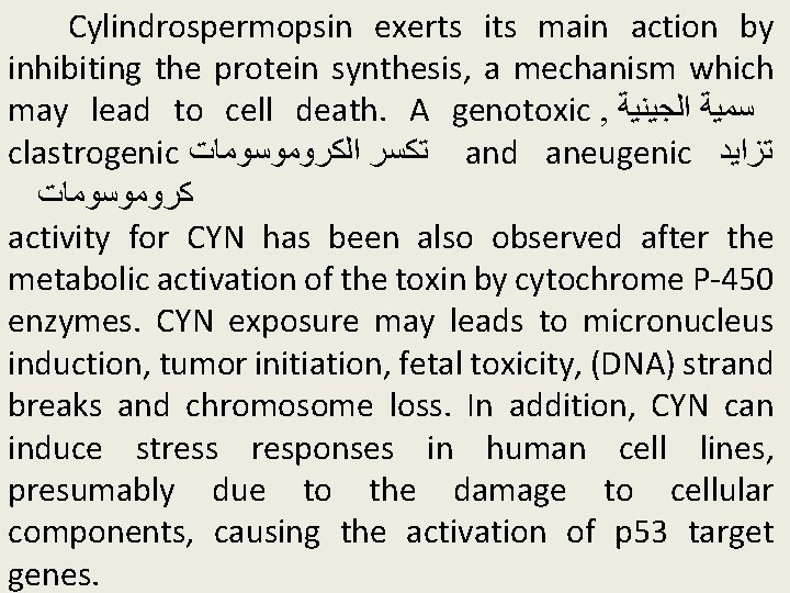 Cylindrospermopsin exerts its main action by inhibiting the protein synthesis, a mechanism which may