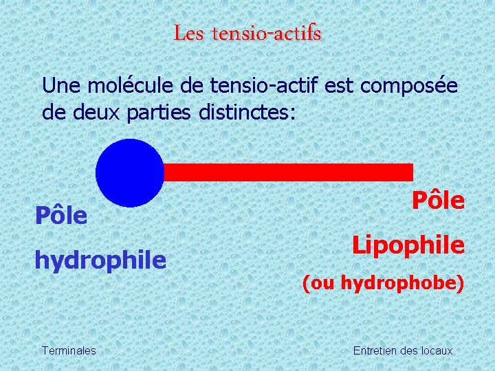Les tensio-actifs Une molécule de tensio-actif est composée de deux parties distinctes: Pôle hydrophile