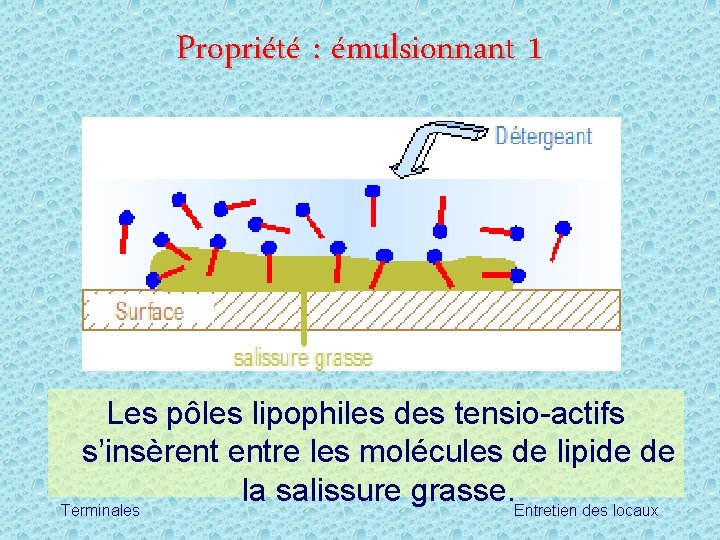 Propriété : émulsionnant 1 Les pôles lipophiles des tensio-actifs s’insèrent entre les molécules de