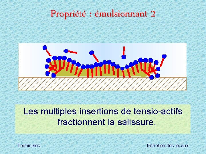 Propriété : émulsionnant 2 Les multiples insertions de tensio-actifs fractionnent la salissure. Terminales Entretien