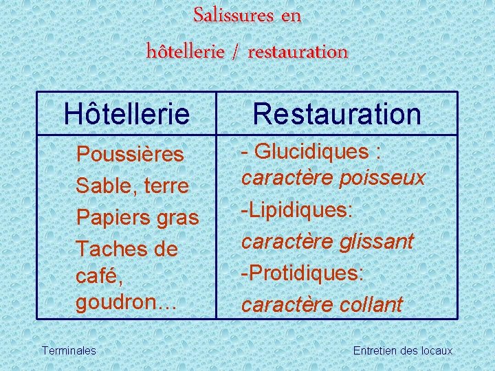 Salissures en hôtellerie / restauration Hôtellerie Poussières Sable, terre Papiers gras Taches de café,