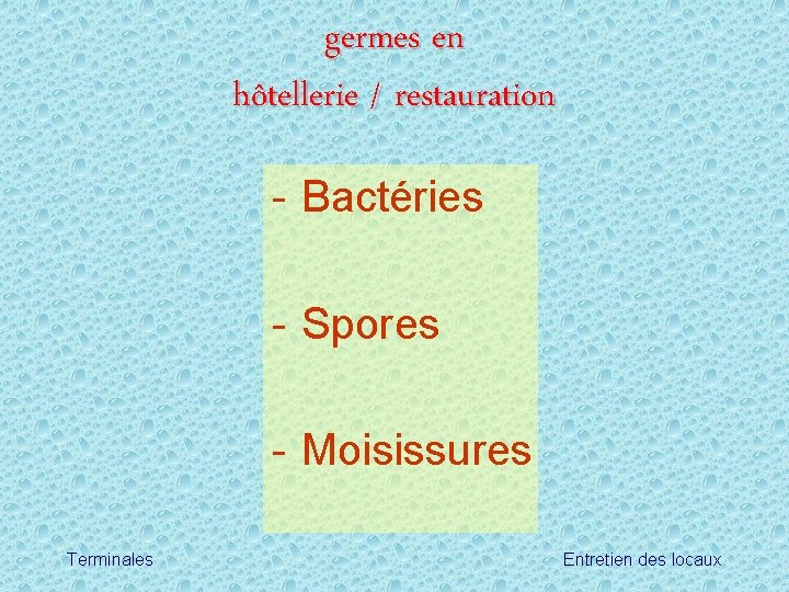germes en hôtellerie / restauration - Bactéries - Spores - Moisissures Terminales Entretien des