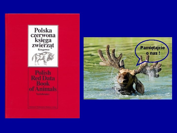 Pamiętajcie o nas ! 