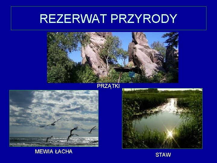 REZERWAT PRZYRODY PRZĄTKI MEWIA ŁACHA STAW 