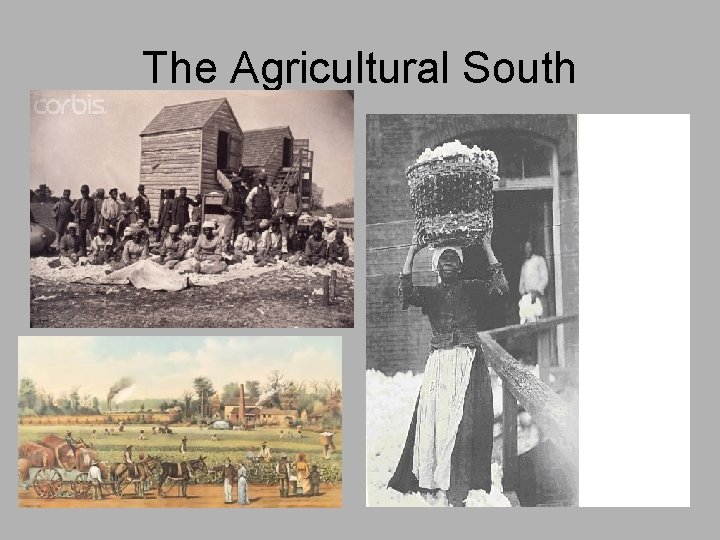 The Agricultural South 