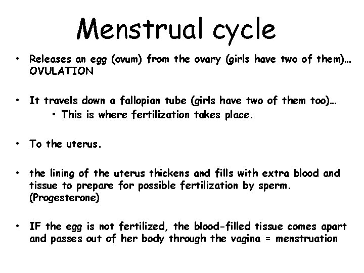 Menstrual cycle • Releases an egg (ovum) from the ovary (girls have two of