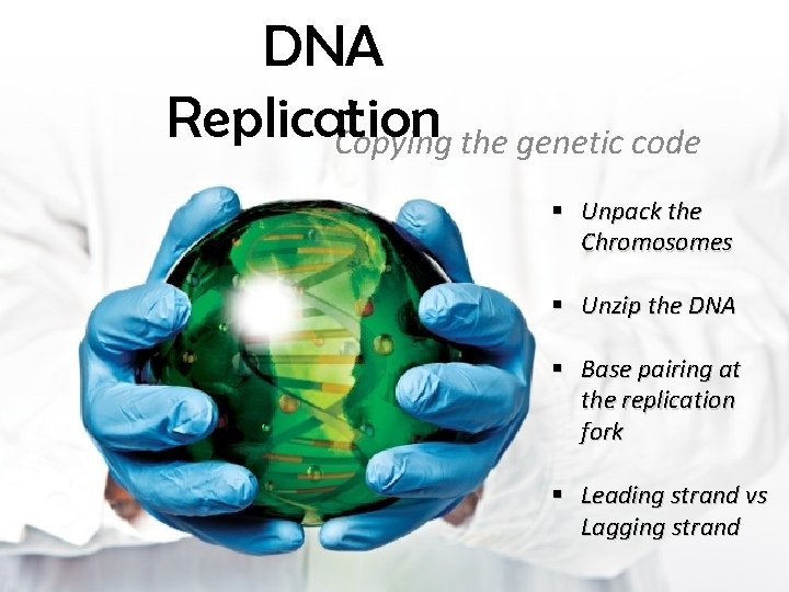 DNA Replication Copying the genetic code § Unpack the Chromosomes § Unzip the DNA