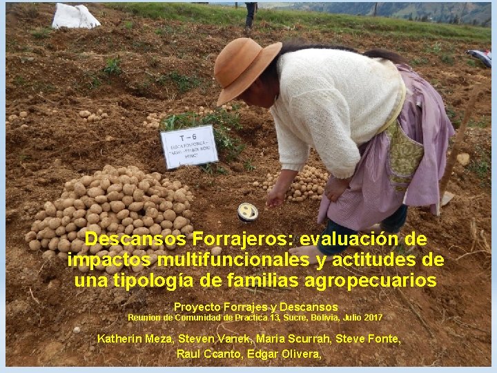 Descansos Forrajeros: evaluación de impactos multifuncionales y actitudes de una tipología de familias agropecuarios