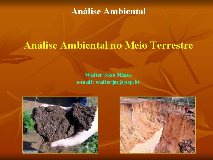 Análise Ambiental no Meio Terrestre Walter José Minto e-mail: walterjm@usp. br 