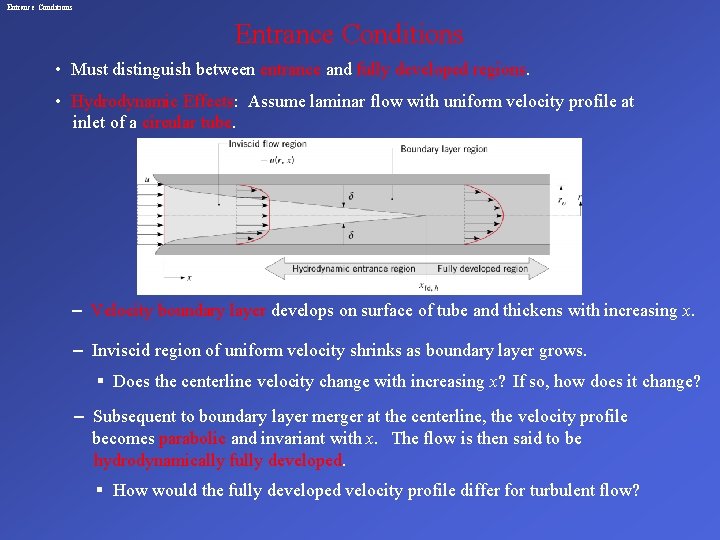 Entrance Conditions • Must distinguish between entrance and fully developed regions. • Hydrodynamic Effects: