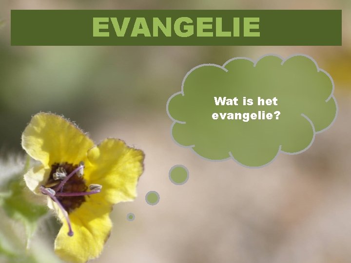 EVANGELIE Wat is het evangelie? 