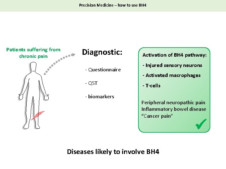Precision Medicine – how to use BH 4 Patients suffering from chronic pain Diagnostic: