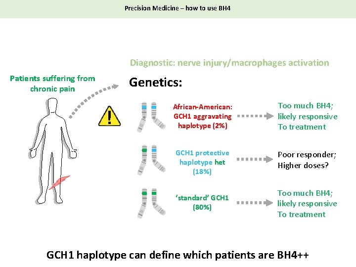Precision Medicine – how to use BH 4 Diagnostic: nerve injury/macrophages activation Patients suffering