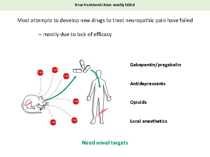 New treatments have mostly failed Most attempts to develop new drugs to treat neuropathic