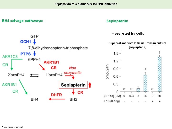 Sepiapterin as a biomarker for SPR inhibition BH 4 salvage pathways: Sepiapterin: - Secreted