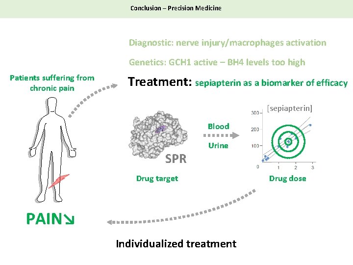 Conclusion – Precision Medicine Diagnostic: nerve injury/macrophages activation Genetics: GCH 1 active – BH