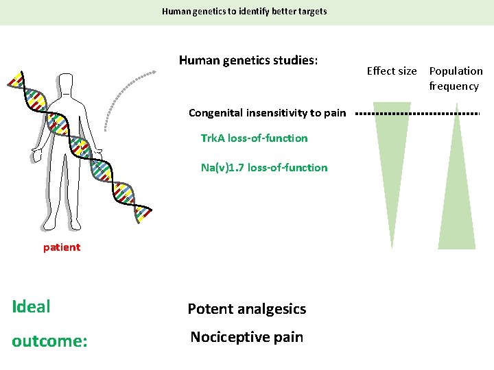 Human genetics to identify better targets Human genetics studies: Congenital insensitivity to pain Trk.