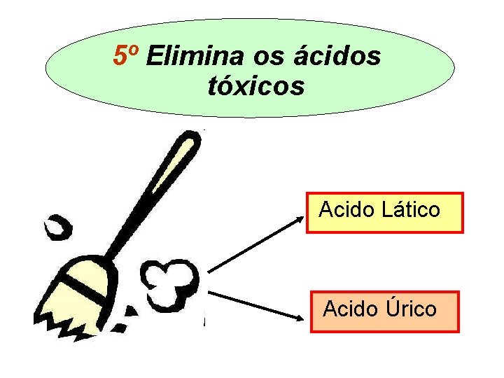 5º Elimina os ácidos tóxicos Acido Lático Acido Úrico 