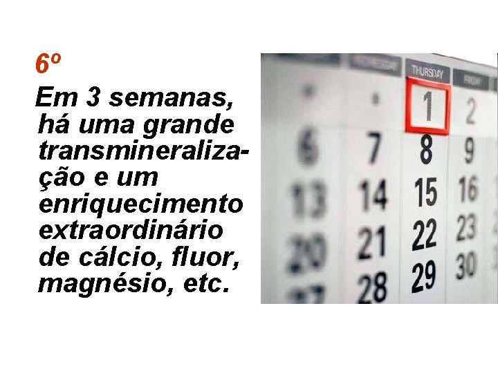 6º Em 3 semanas, há uma grande transmineralização e um enriquecimento extraordinário de cálcio,