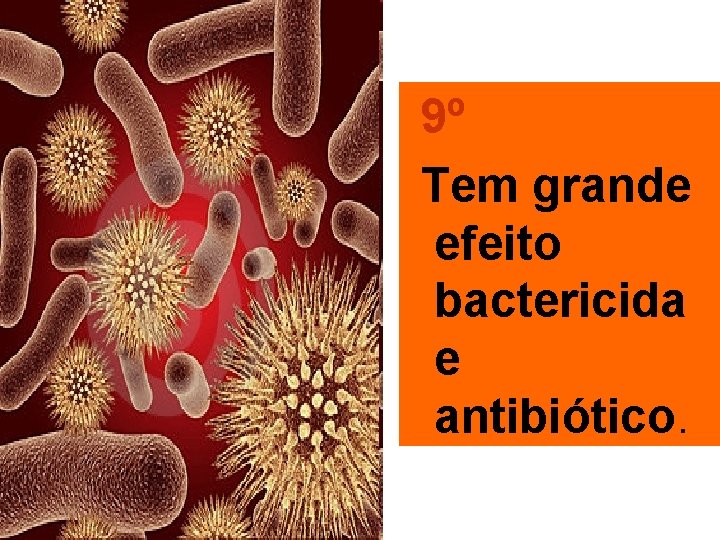 9º Tem grande efeito bactericida e antibiótico. 