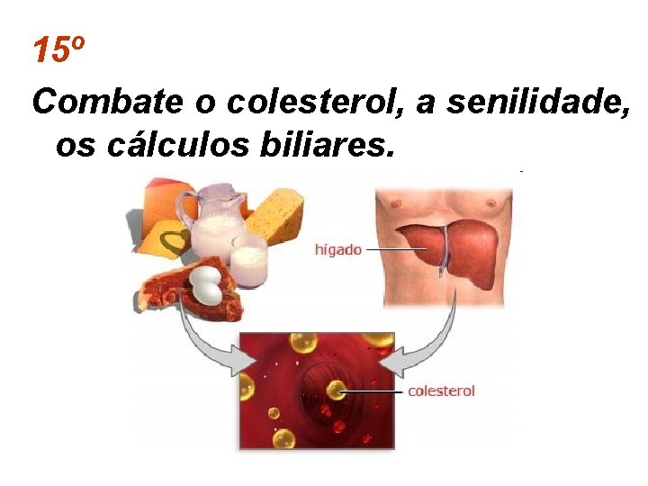 15º Combate o colesterol, a senilidade, os cálculos biliares. 